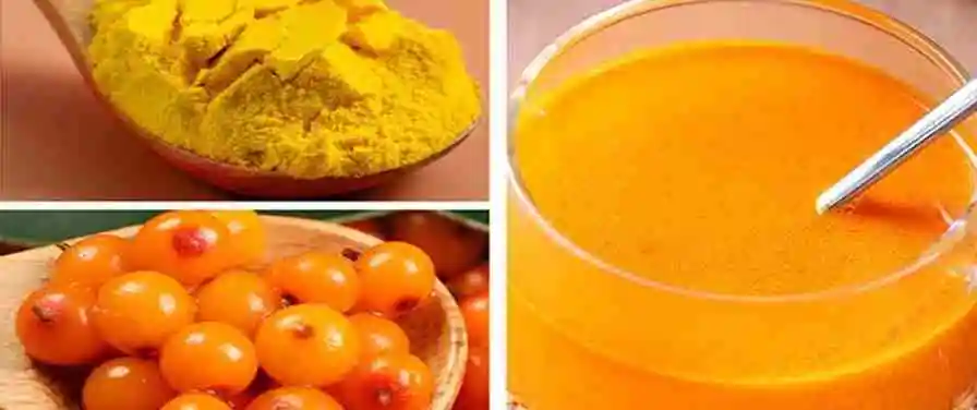 Sea Buckthorn Fruit Powder.jpg